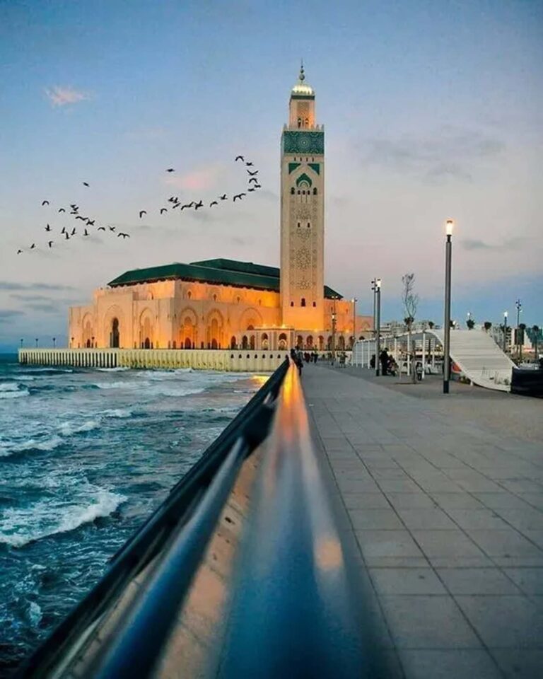Desert Tours from Casablanca