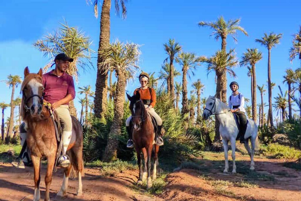Authentic Morocco Tours