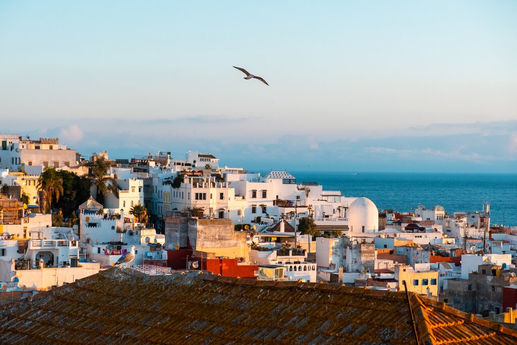 Morocco Guided Tours 2026