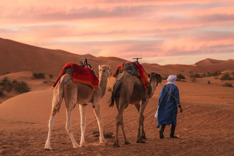 Marrakech Desert Tours