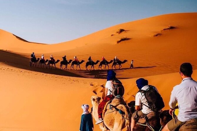 Morocco Guided Tours 2026
