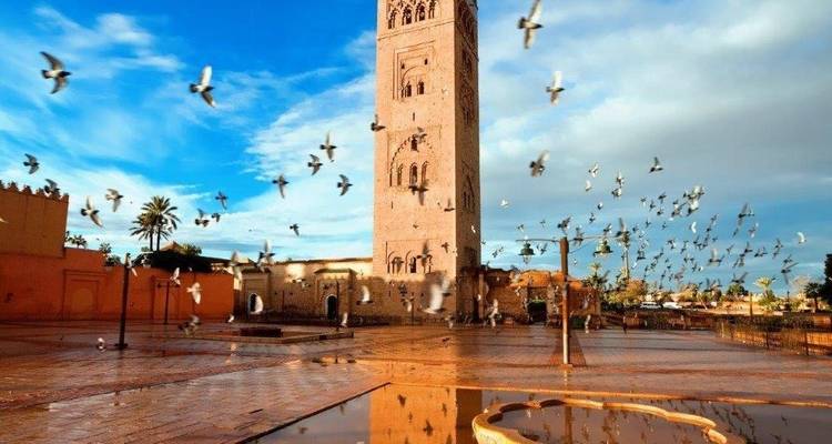 Morocco Vacation Packages 2026 Luxury Tours Morocco Best Tours