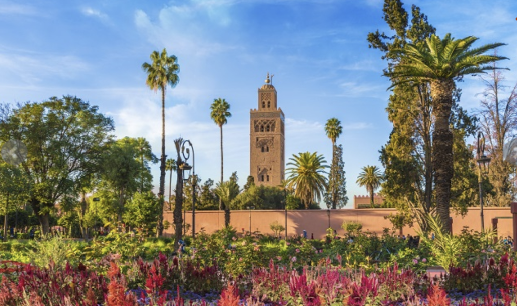 Best Travel Agency in Morocco 2026: Custom Tours & Luxury Desert Trips