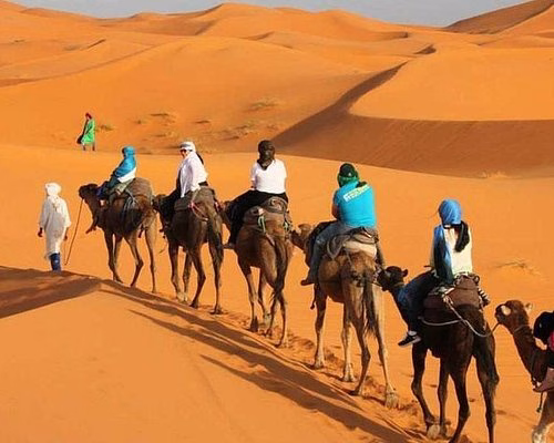 The Best Morocco Tours