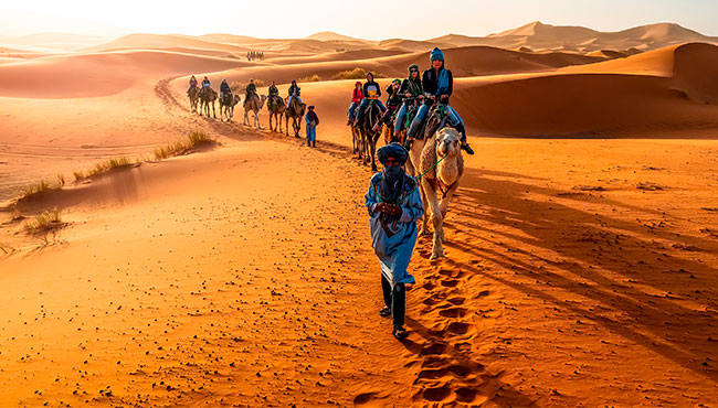 The Best Morocco Tours 2026: Private Desert Tours & Packages
