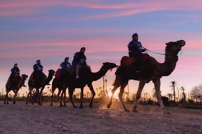 Best Morocco Tours 2026