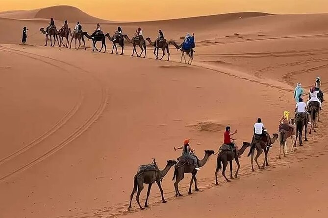 Marrakech Desert Tours