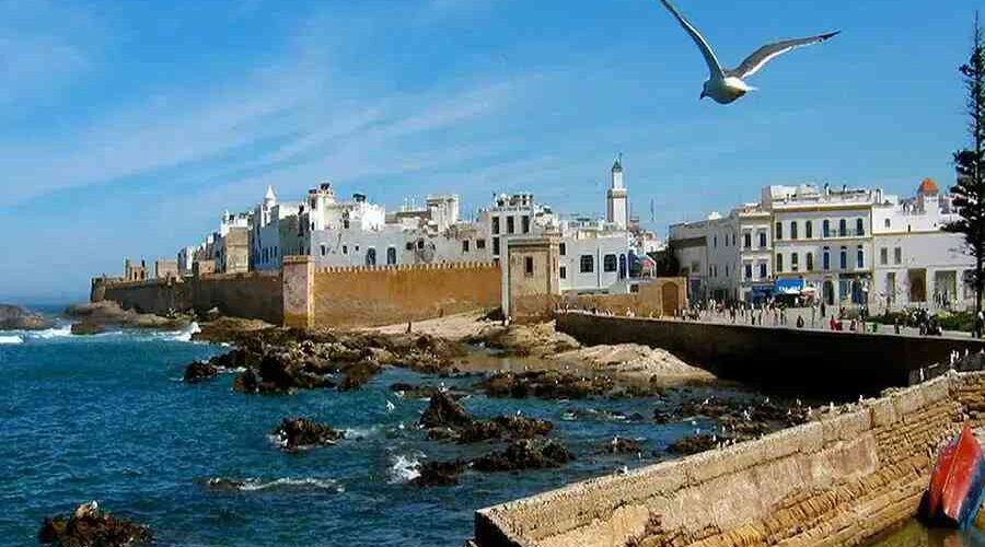 Best Morocco Tours 2026