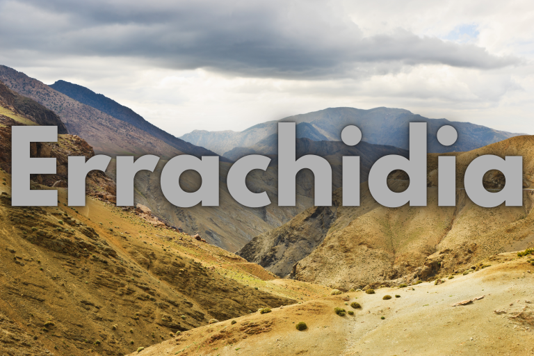 Ultimate Morocco Desert Tours from Errachidia | Sahara Camel & Luxury Camp Experience 2026