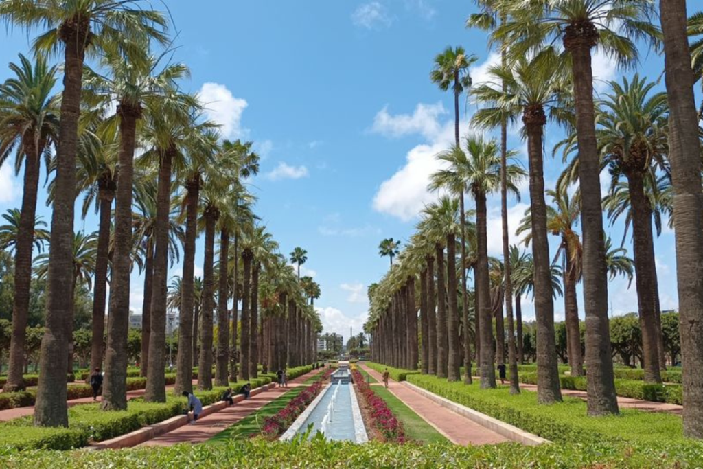 10 Best Casablanca Tours for an Unforgettable Morocco Adventure