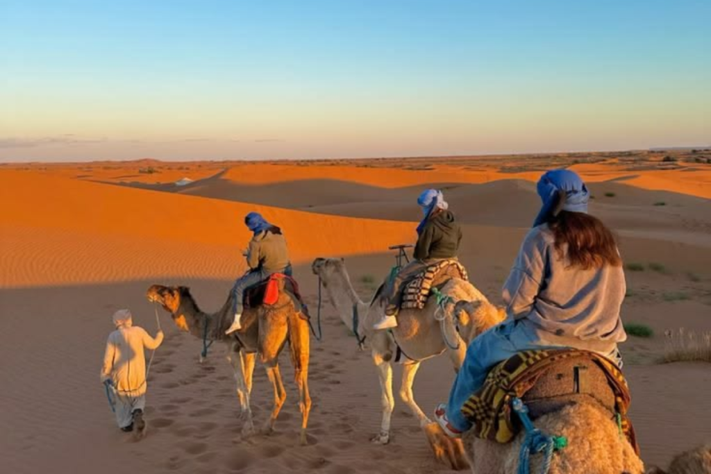 Morocco Adventure Tours