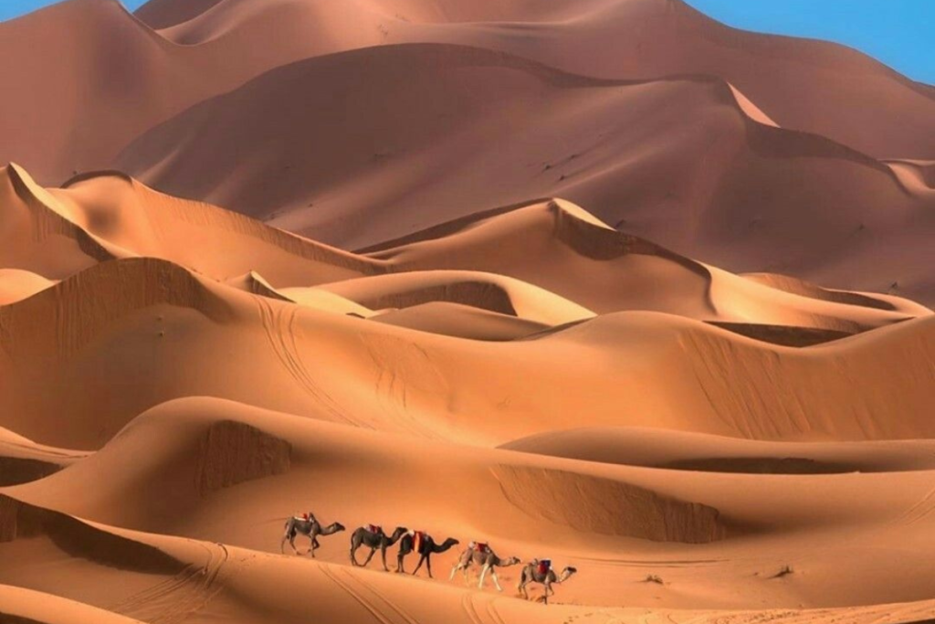 Morocco Desert Tours from Marrakech