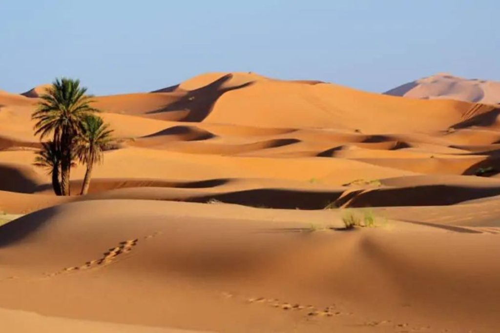 Morocco Atlas Mountains Tours