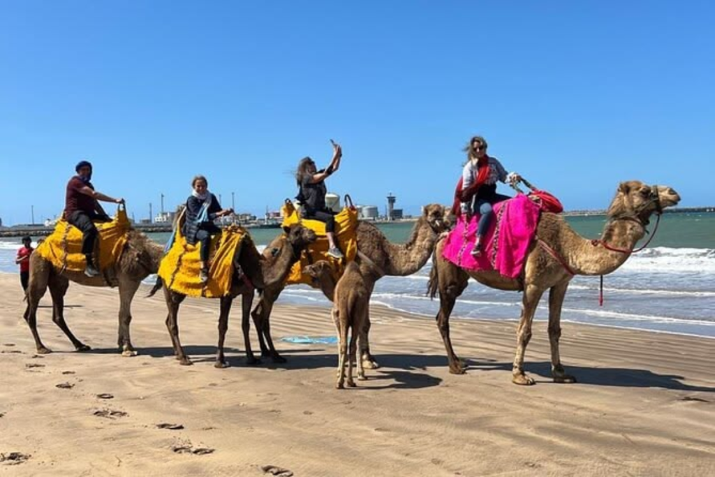 Morocco Adventure Tours