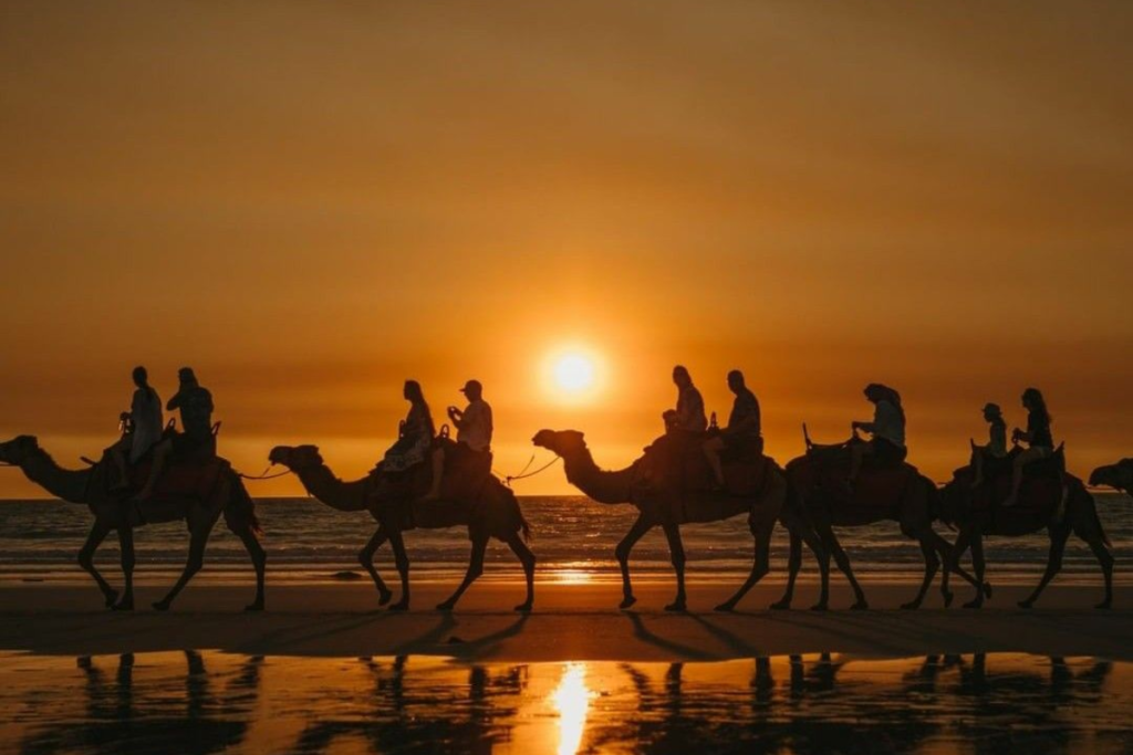 merzouga desert tours 2026