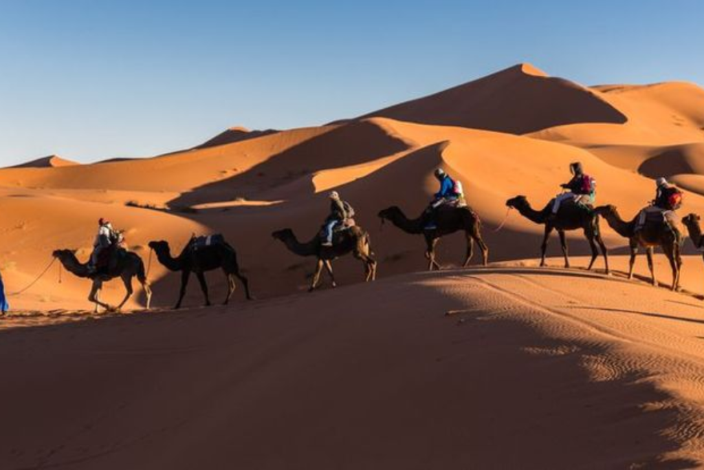 merzouga desert tours 2026