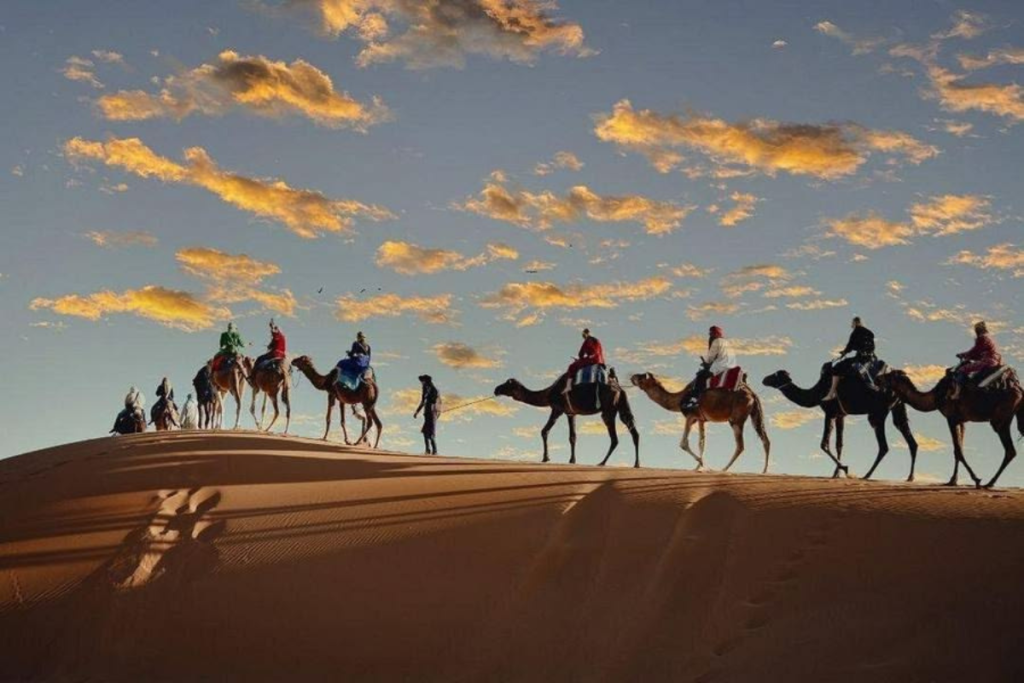 Fes Tours